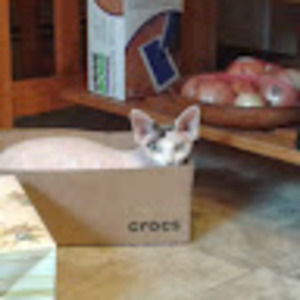 Meet your Posher, Leanne